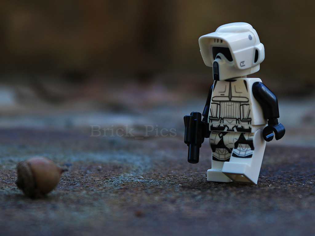 Lego photography